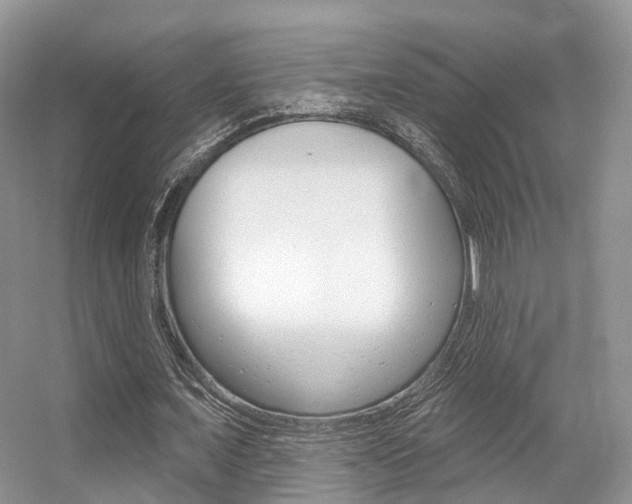 X0000056310675200508260825