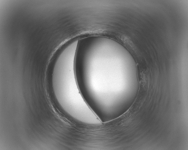X0000056310684200508260825