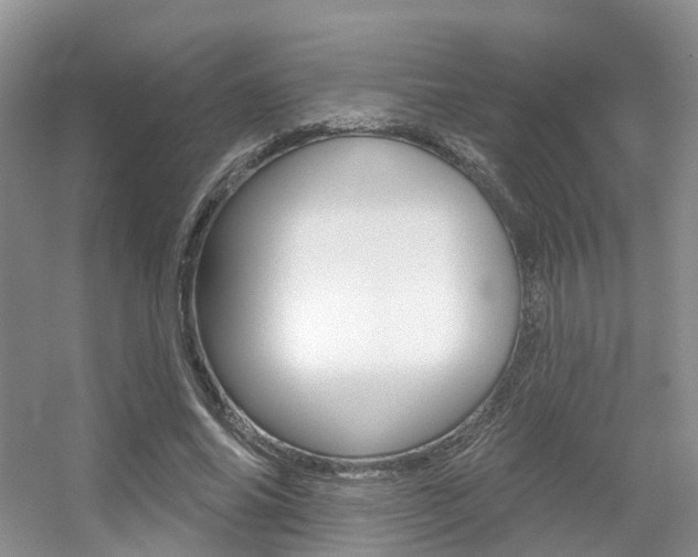 X0000056310686200508260825