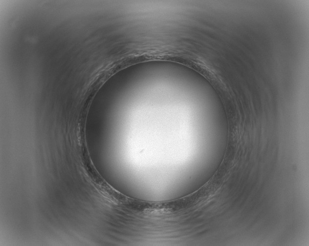 X0000056310689200508260825