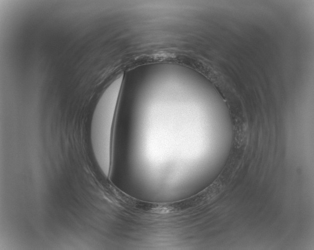 X0000056310704200508260825