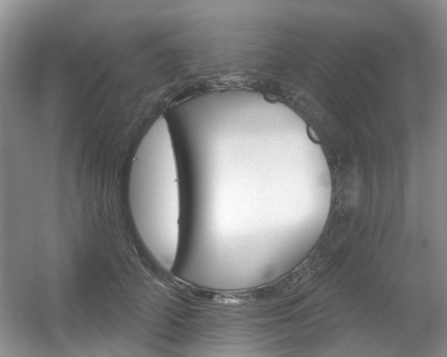 X0000056310706200508260825
