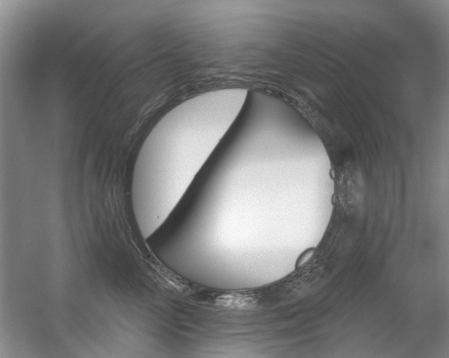 X0000056310714200508260825
