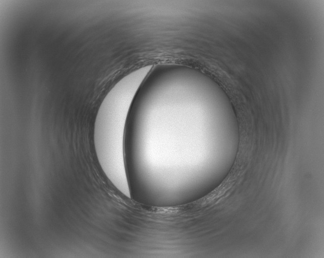 X0000056310720200508260825