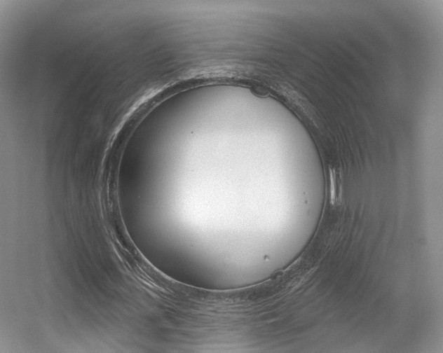 X0000056310723200508260824