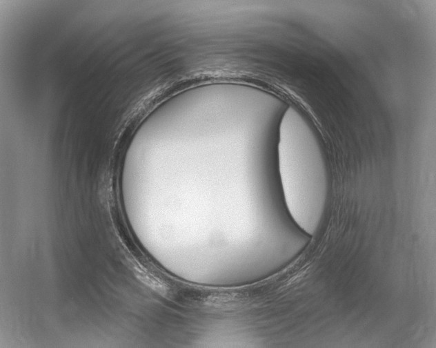 X0000056310725200508260824