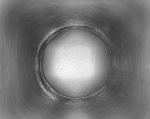 X0000056310726200508260824