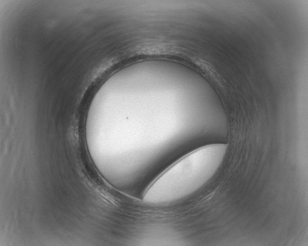 X0000056310727200508260824