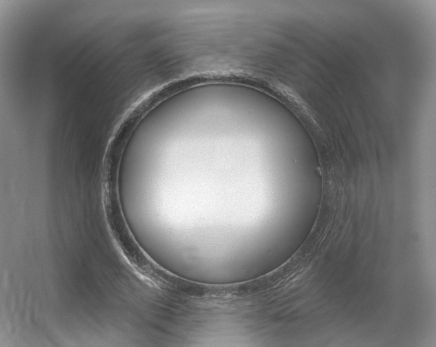 X0000056310728200508260824