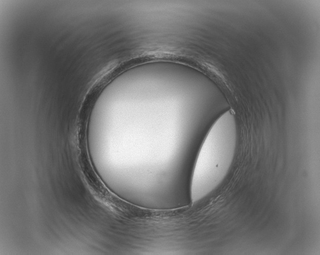 X0000056310730200508260824