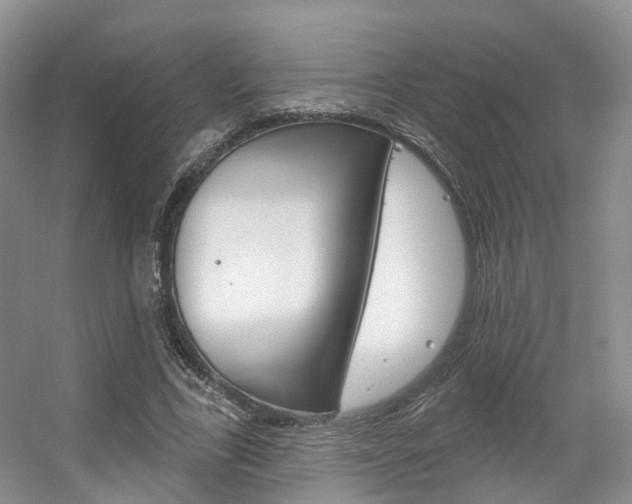 X0000056310731200508260824
