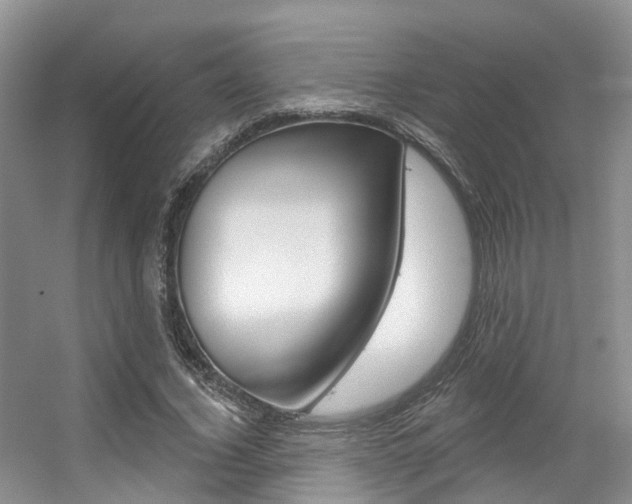 X0000056310732200508260824