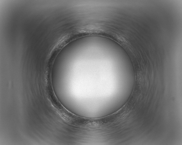 X0000056310735200508260824