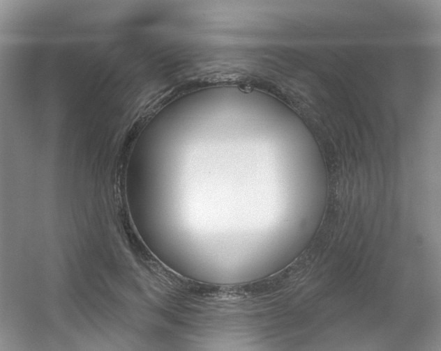 X0000056310743200508260824