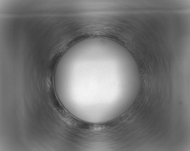 X0000056310746200508260824