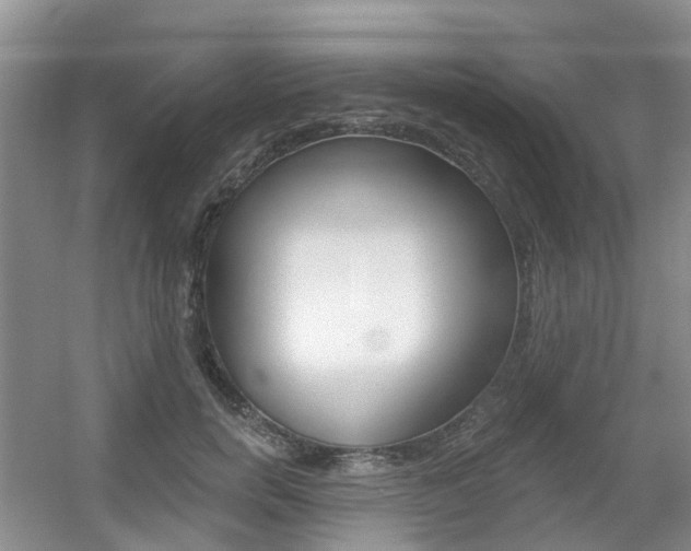 X0000056310750200508260824