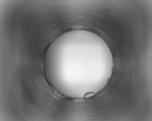 X0000056310761200508260824