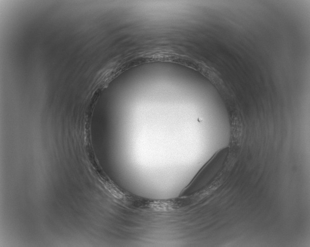 X0000056310762200508260825