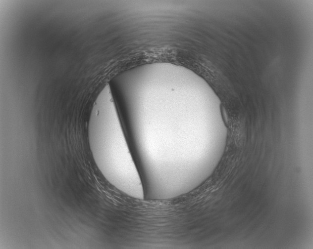X0000056310770200508260824