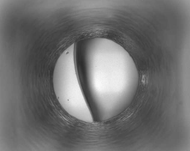 X0000056310771200508260824