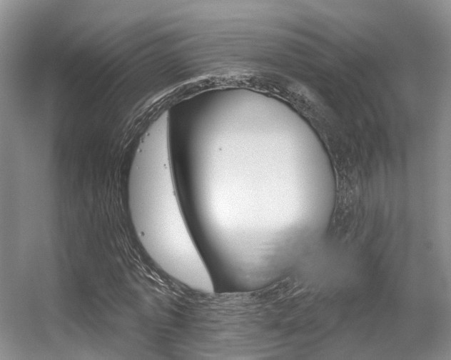X0000056310773200508260824