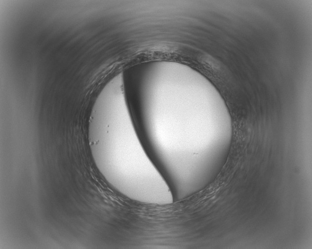 X0000056310774200508260824