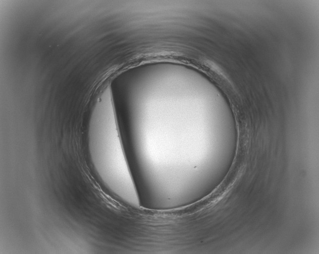 X0000056310777200508260824