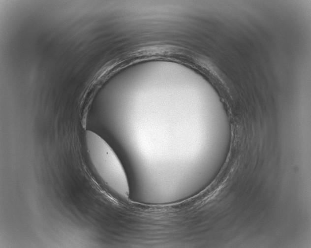 X0000056310778200508260824
