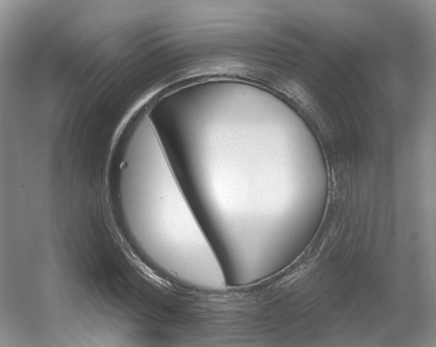 X0000056310780200508260824