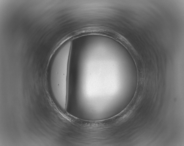 X0000056310786200508260824