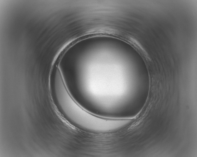 X0000056310788200508260823