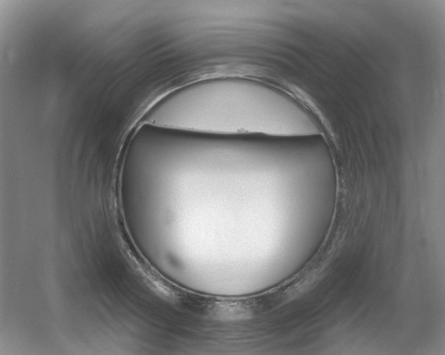 X0000056310794200508260823