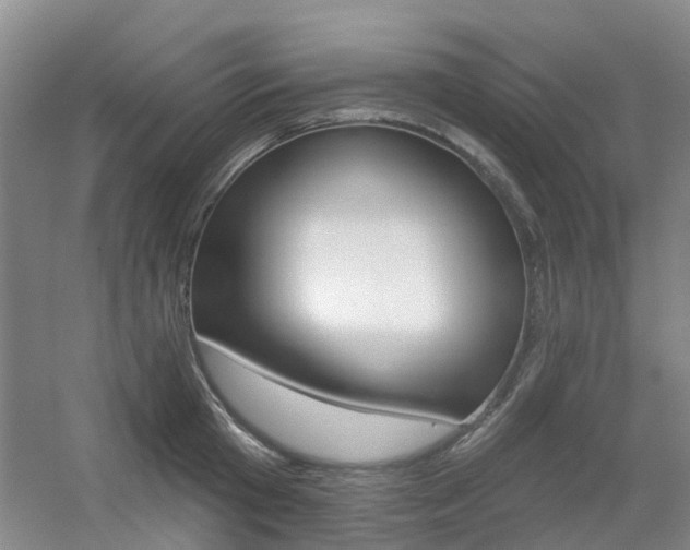 X0000056310801200508260823