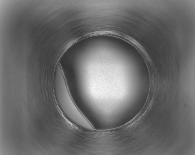 X0000056310809200508260823