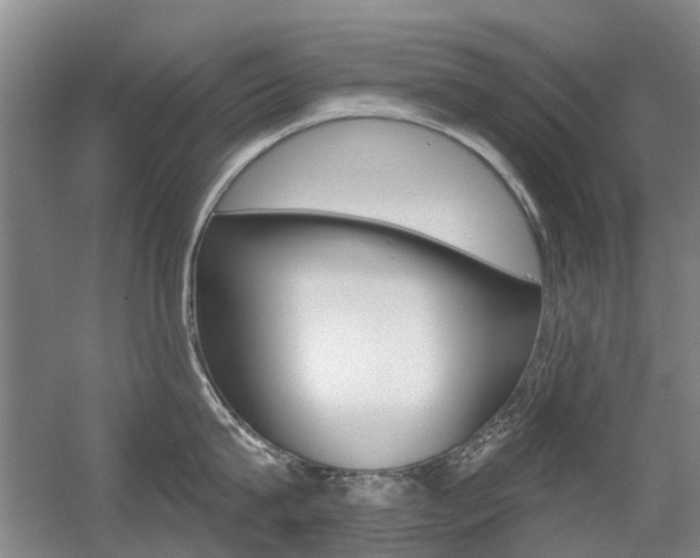 X0000056310815200508260823