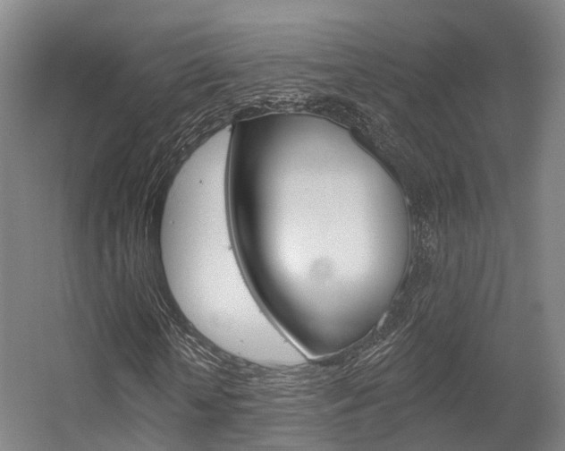 X0000056310818200508260822