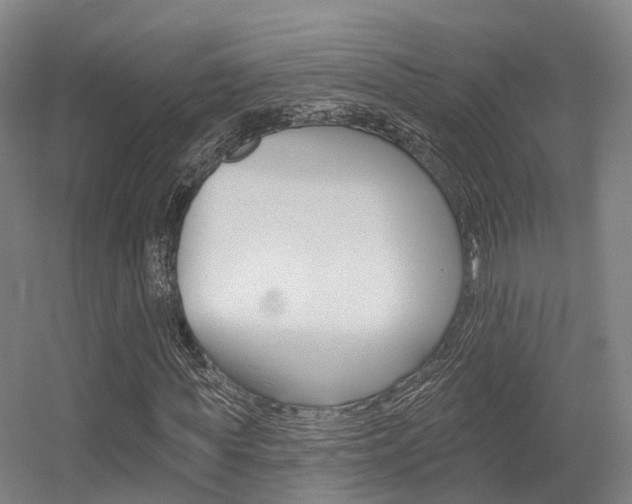 X0000056310819200508260822