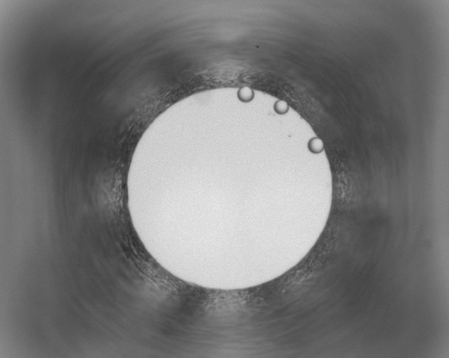 X0000056310820200508260822