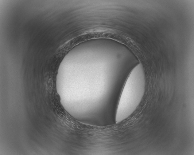 X0000056310821200508260822