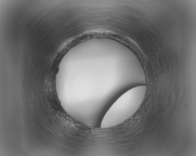 X0000056310823200508260822