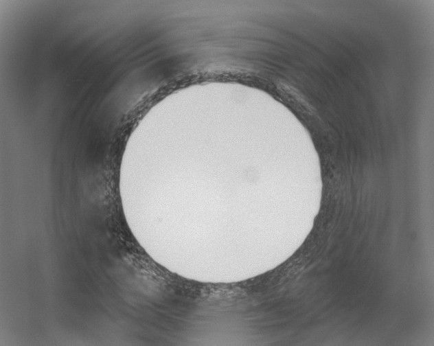 X0000056310824200508260822