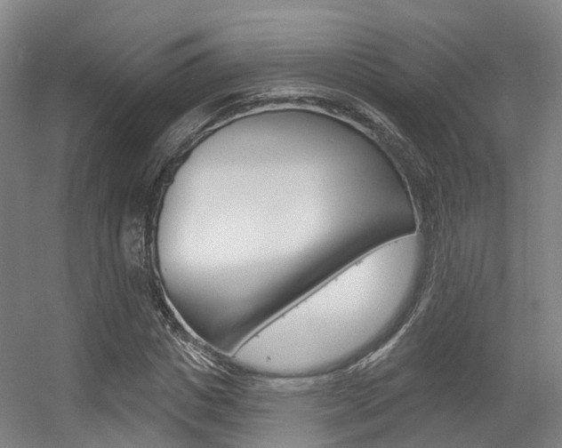 X0000056310825200508260822