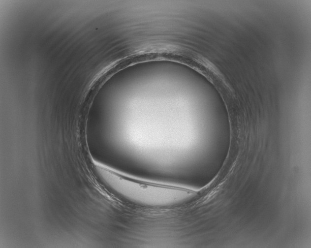 X0000056310826200508260822