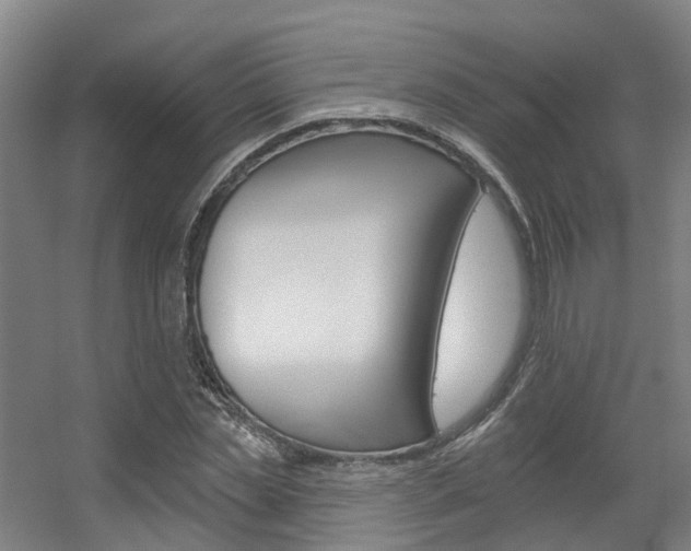 X0000056310829200508260822