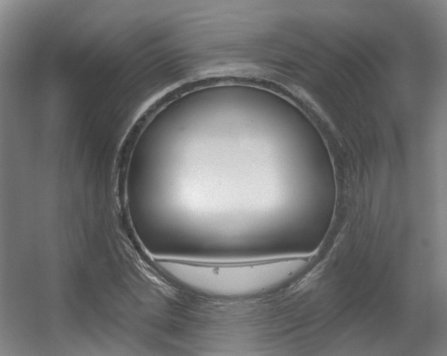 X0000056310830200508260822