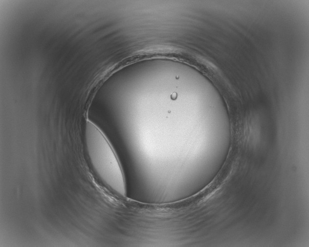X0000056310833200508260822