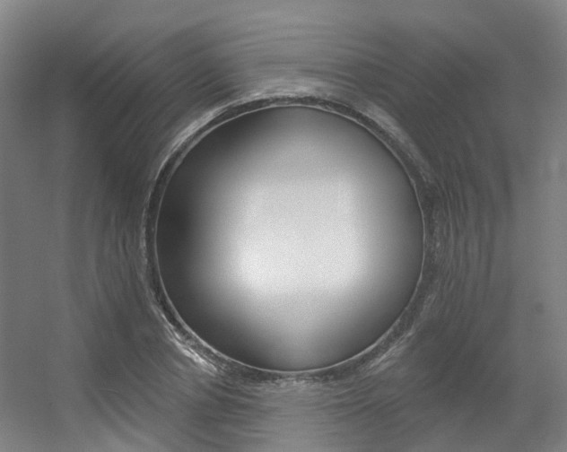 X0000056310834200508260822