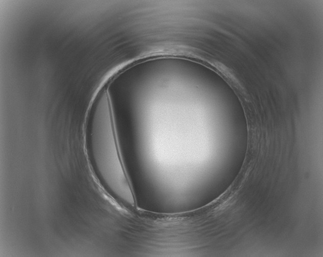 X0000056310846200508260823