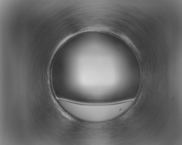 X0000056310854200508260823