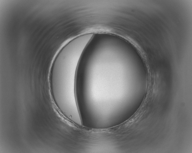 X0000056310864200508260823